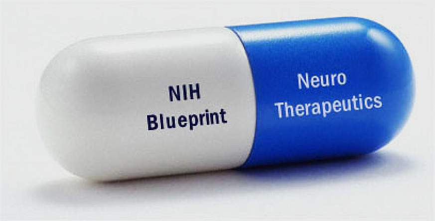 Logo of NIH’s Blueprint Neurotherapeutics Program