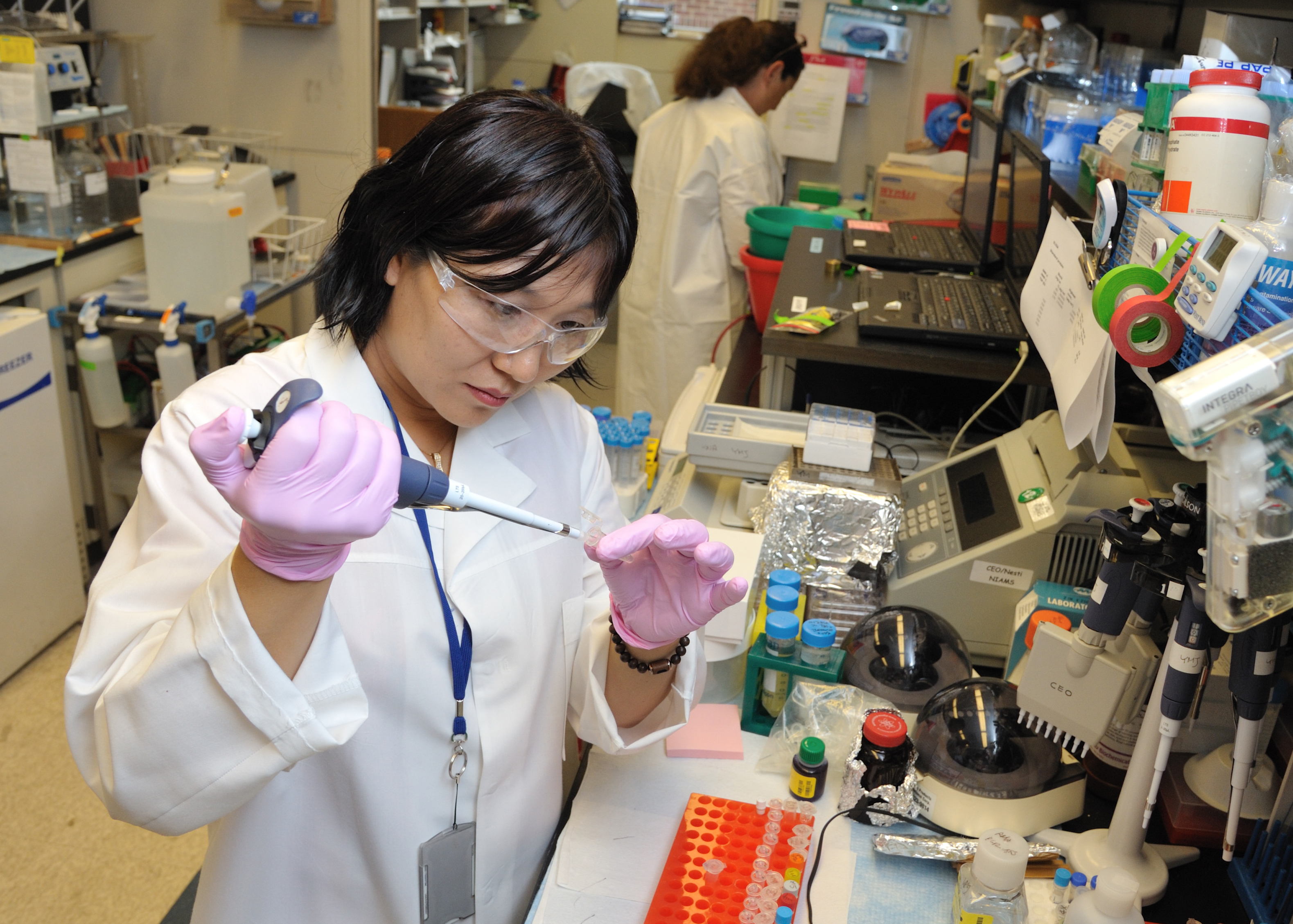 A research fellow conducts research in the NIAMS Cartilage Biology and Orthopaedics Branch.