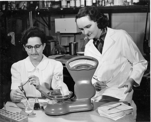 Studying Folic Acid Deficiency NIH researchers studying weight and blood changes in rats with folic acid deficiency.