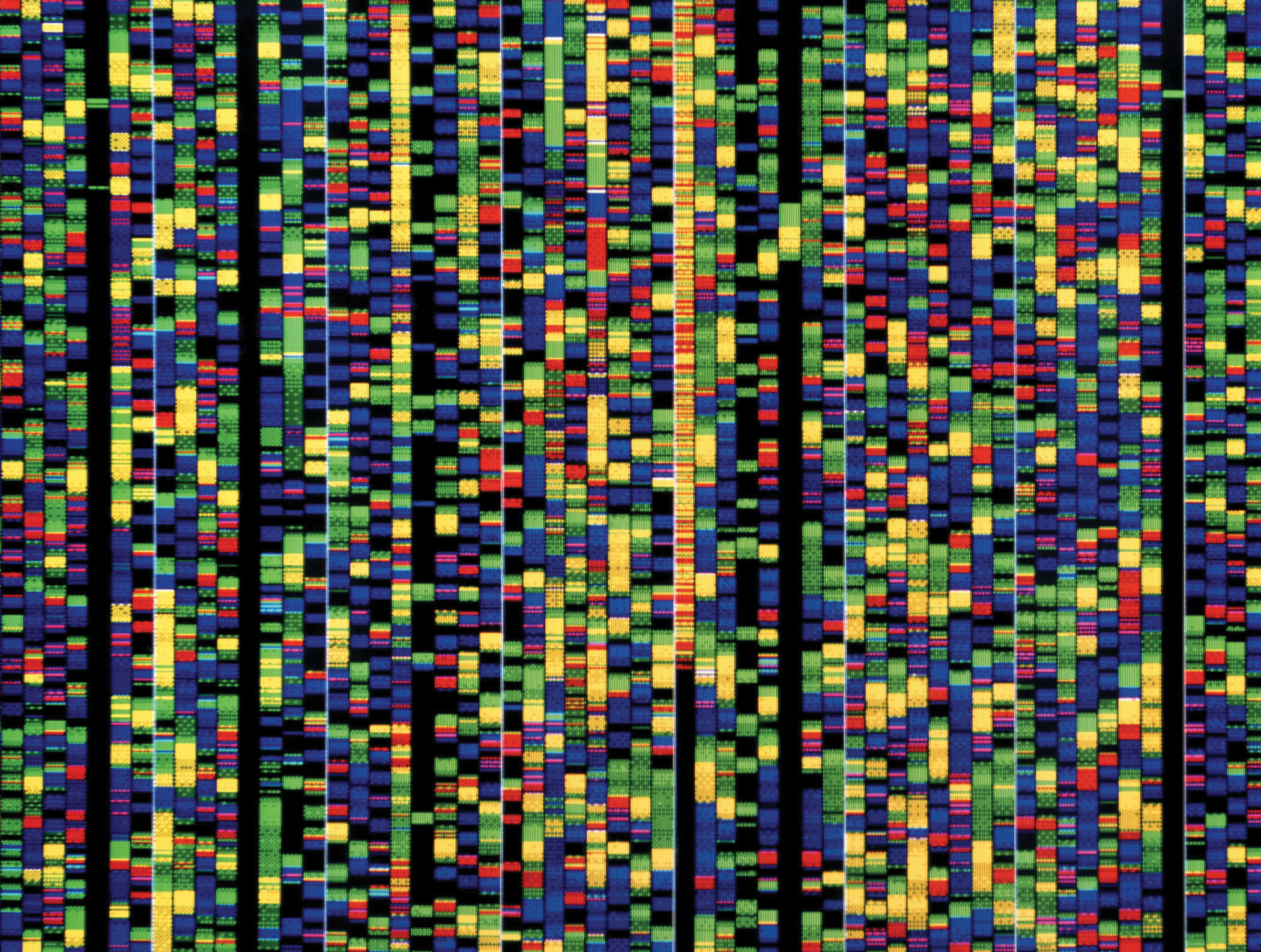 These colored bands on a computer screen represent the various building blocks of DNA that make up just a small portion of the human genome.