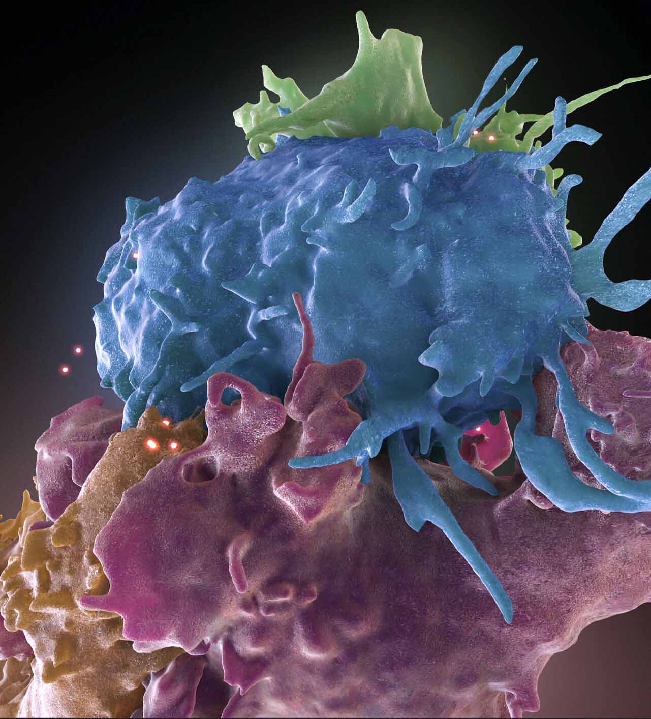HIV infected and uninfected immune cells interact