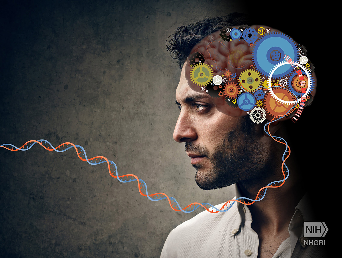 Artistic representation of schizophrenia with a man’s head in profile and juxtaposed over the brain are many colorful gears.