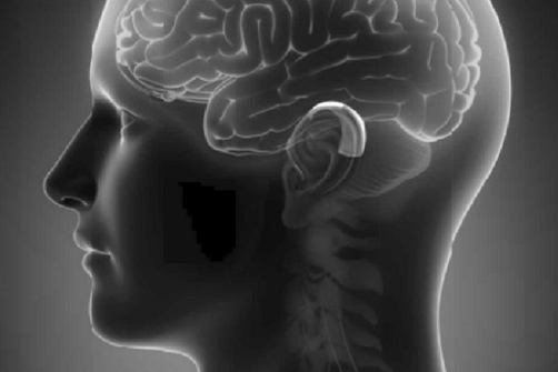 Illustration of a brain inside a transparent head with a hearing aid attached to the ear Illustration of a brain inside a transparent head with a hearing aid attached to the ear