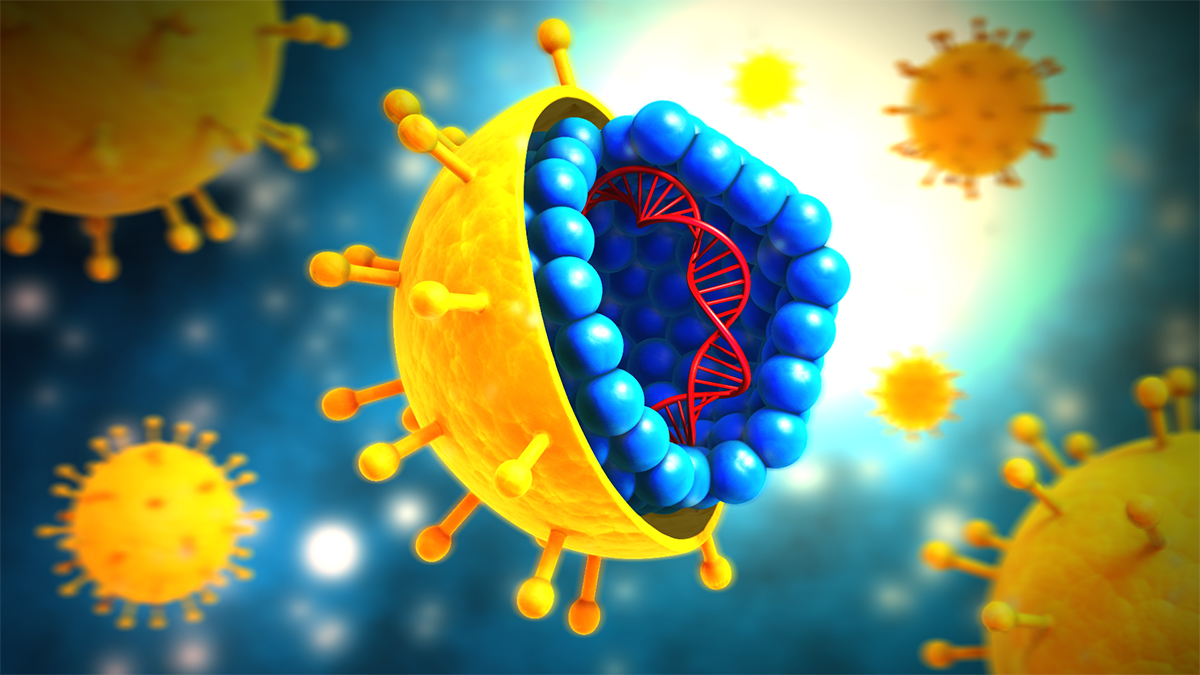 Illustration of hepatitis C virus.