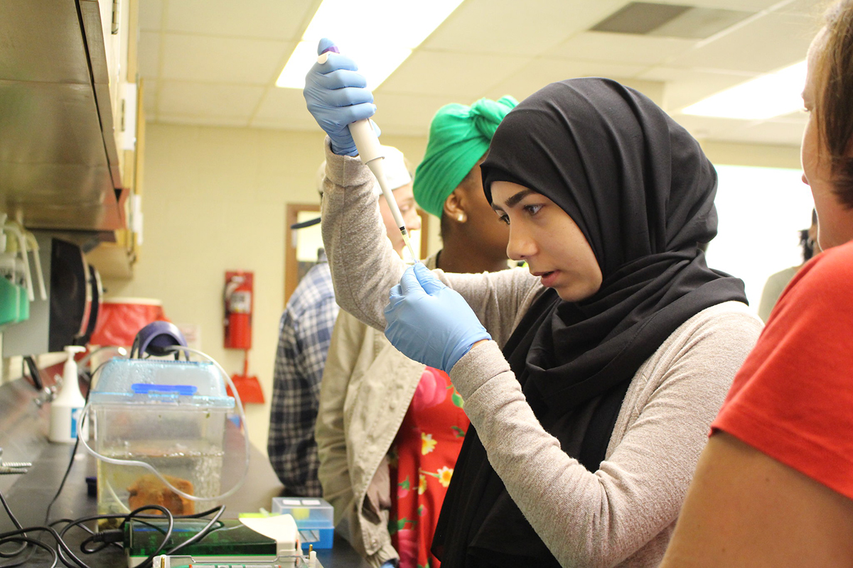 An incoming ReBUILDetroit trainee practices her pipetting during the Summer Enrichment Program for incoming students at the University of Detroit, Mercy.