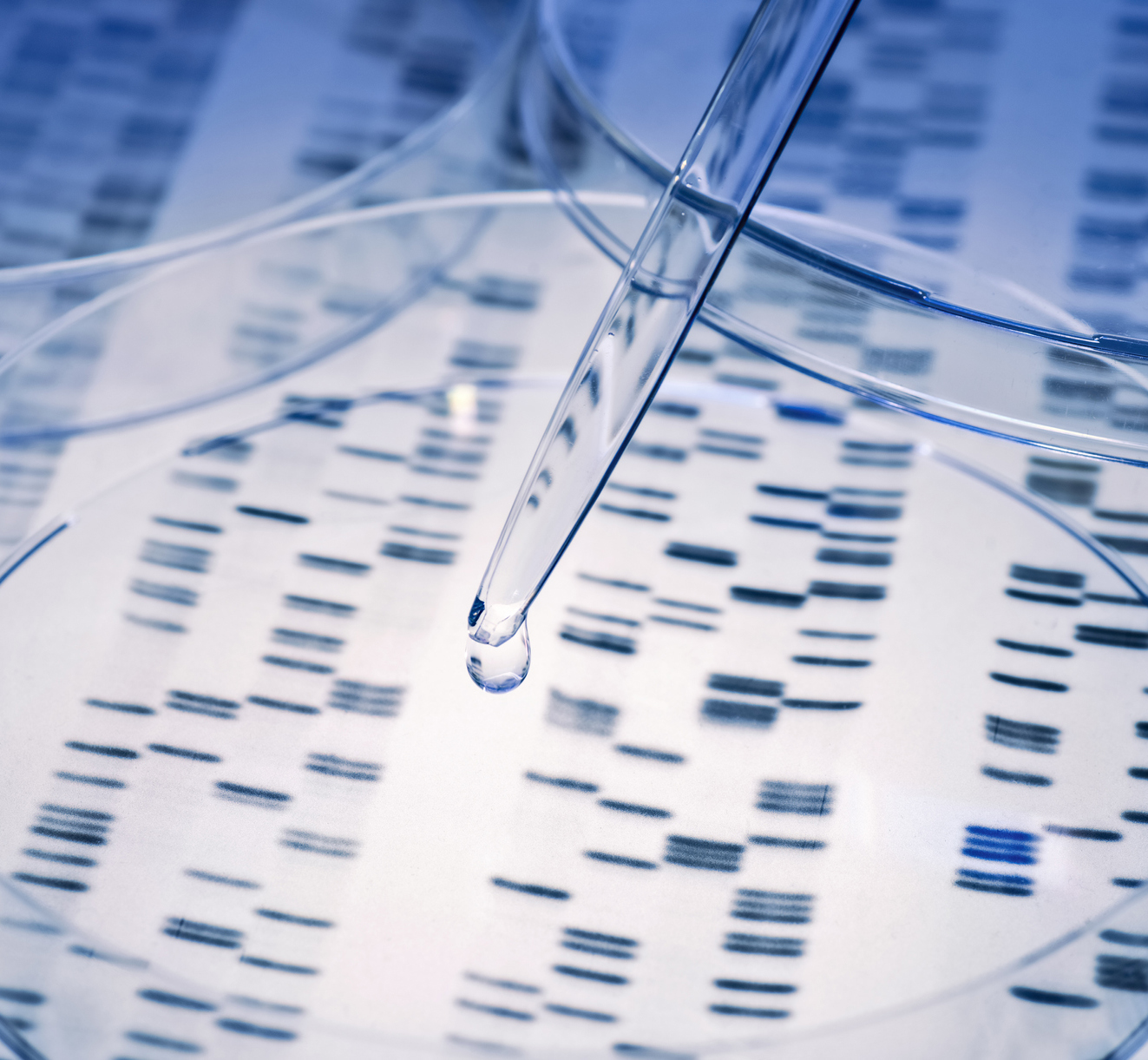 DNA with pipette and Petri dish - stock photo