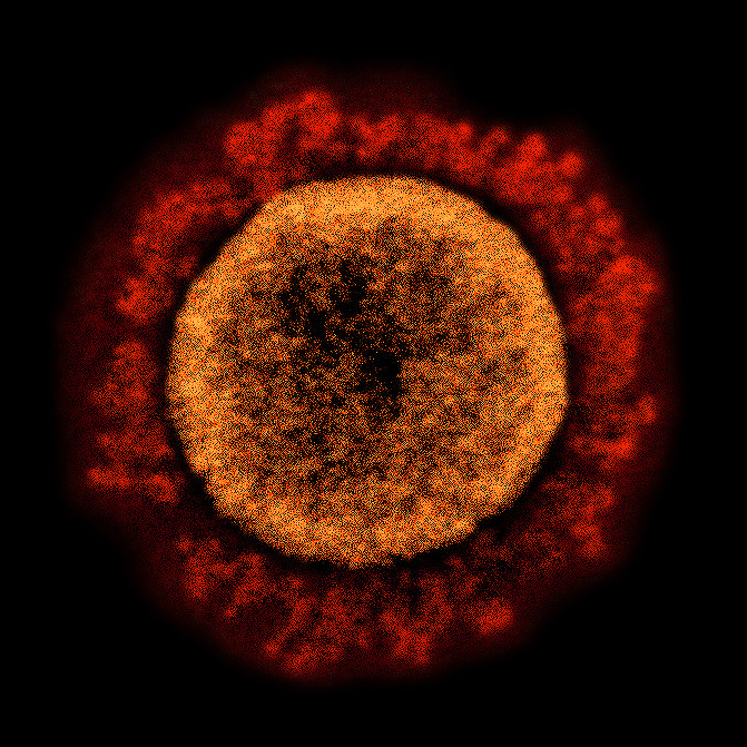 Novel Coronavirus SARS-CoV-2