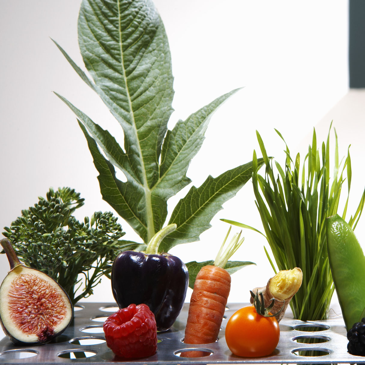 Test tube holder with different vegetables and fruits, studio shot 