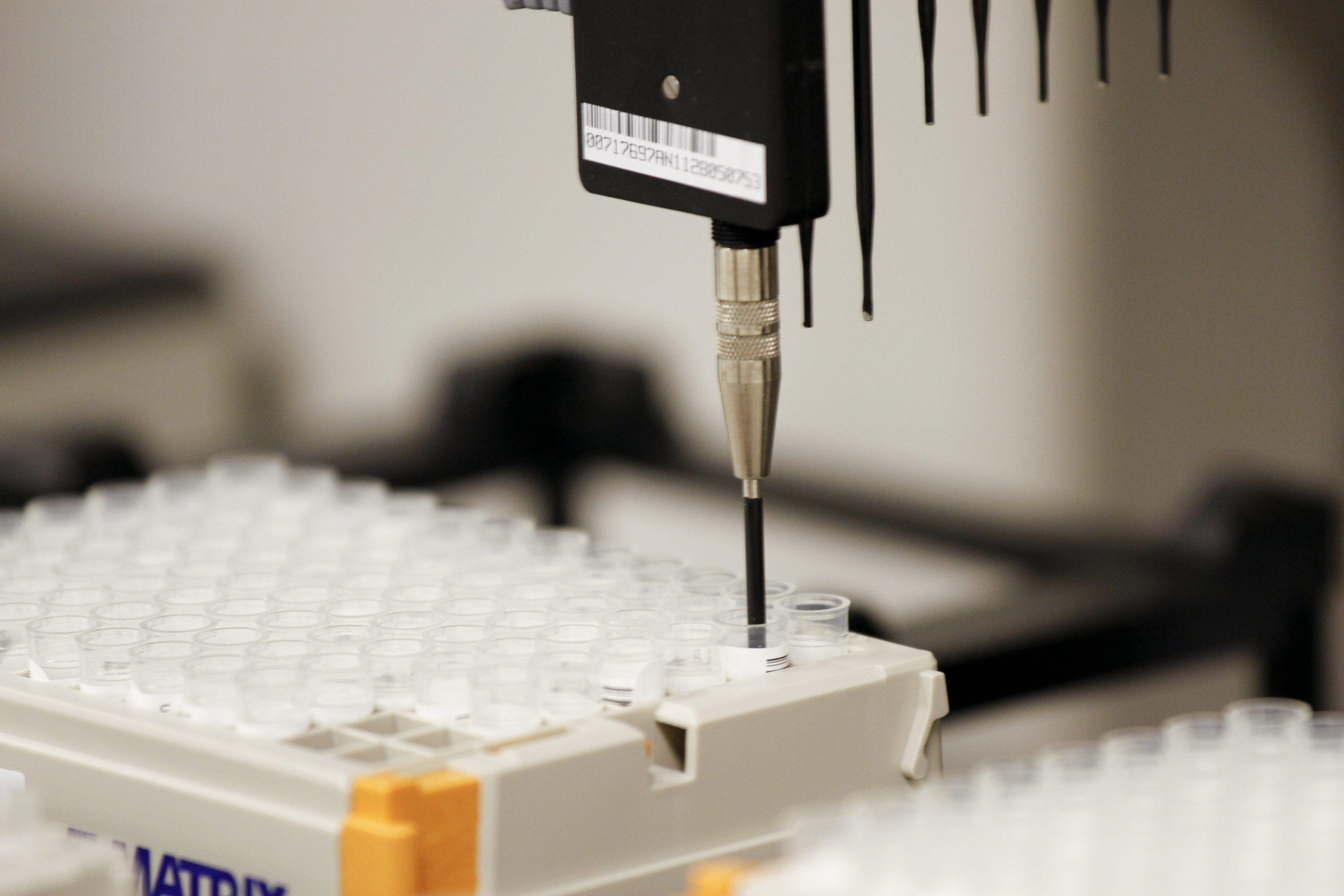 Robotic tips are shown collecting DNA samples for genotyping. The tips are automatically cleaned after each collected sample to prevent contamination.