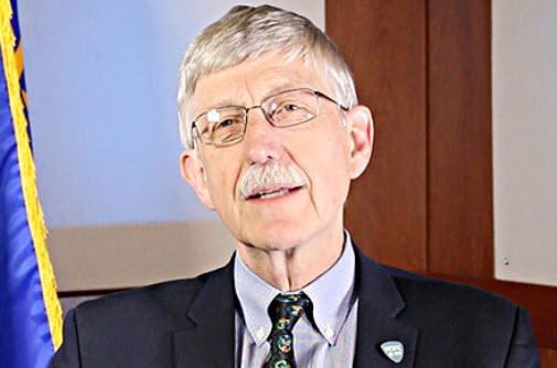 Image of Dr. Collins