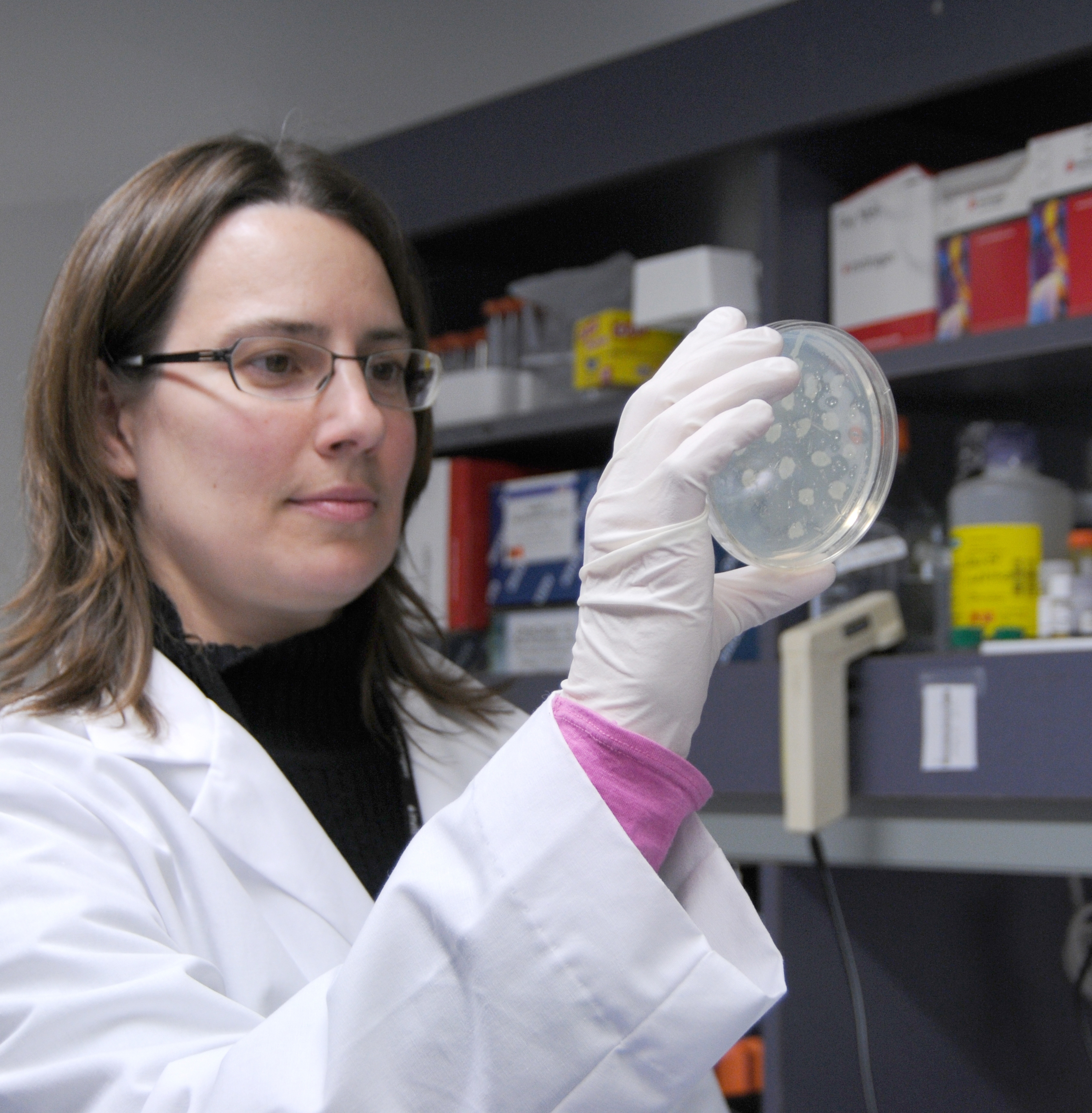 Researcher holding a petri dish.