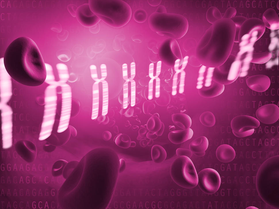 Conceptual image of blood cells on a hot pink background, along with chromosomes Conceptual image of blood cells on a hot pink background, along with chromosomes.