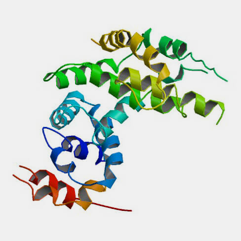 NF1 protein structure.