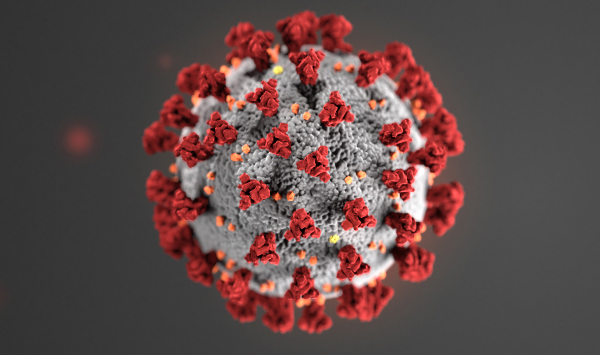 3D illustration of the novel coronavirus