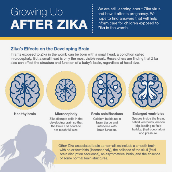 Infographic: Growing Up After Zika