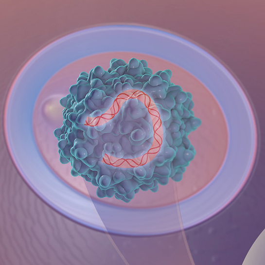 Illustration of gene therapy