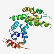 NF1 protein structure
