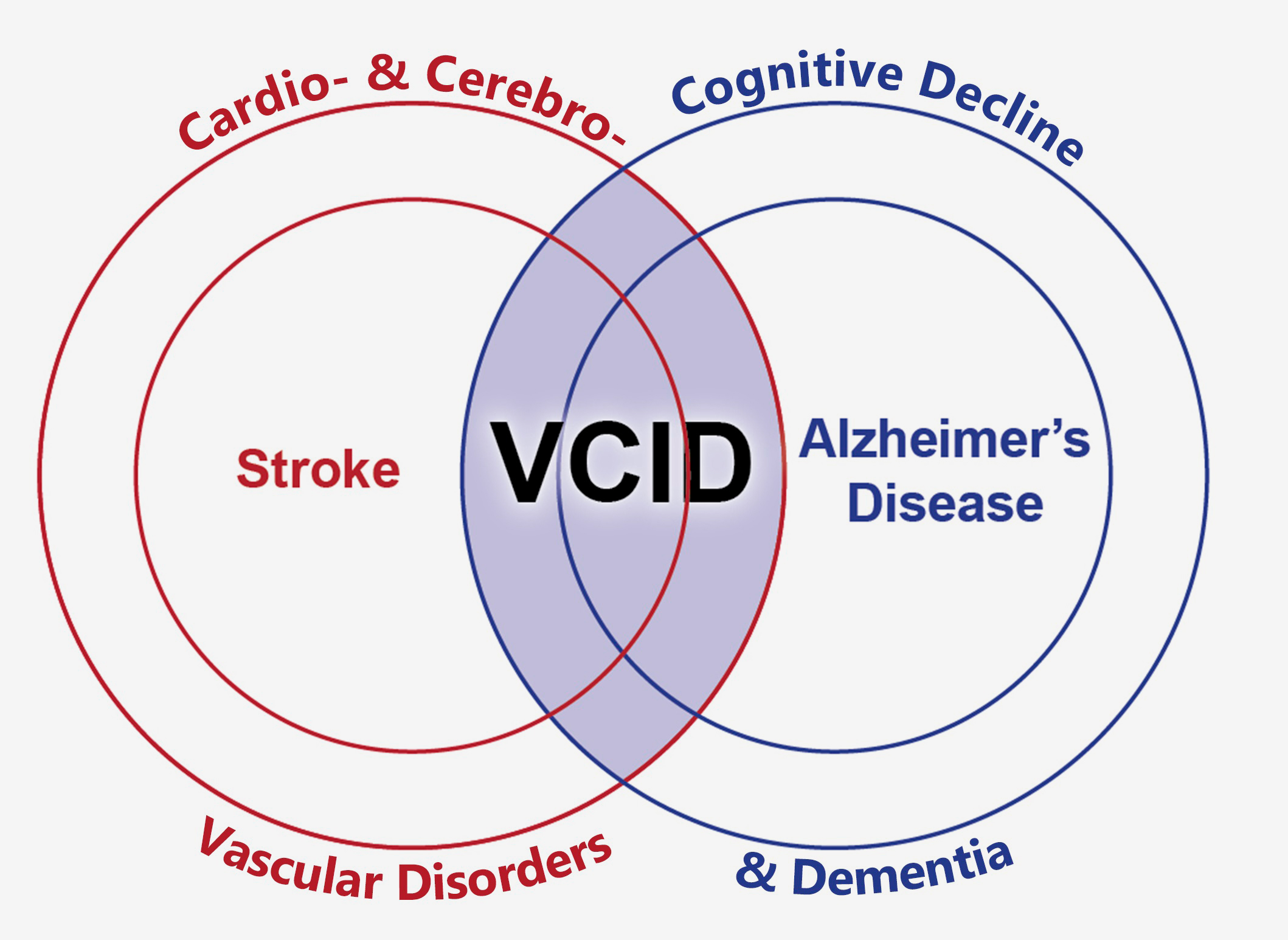 illustration connecting vascular disorders and dementia