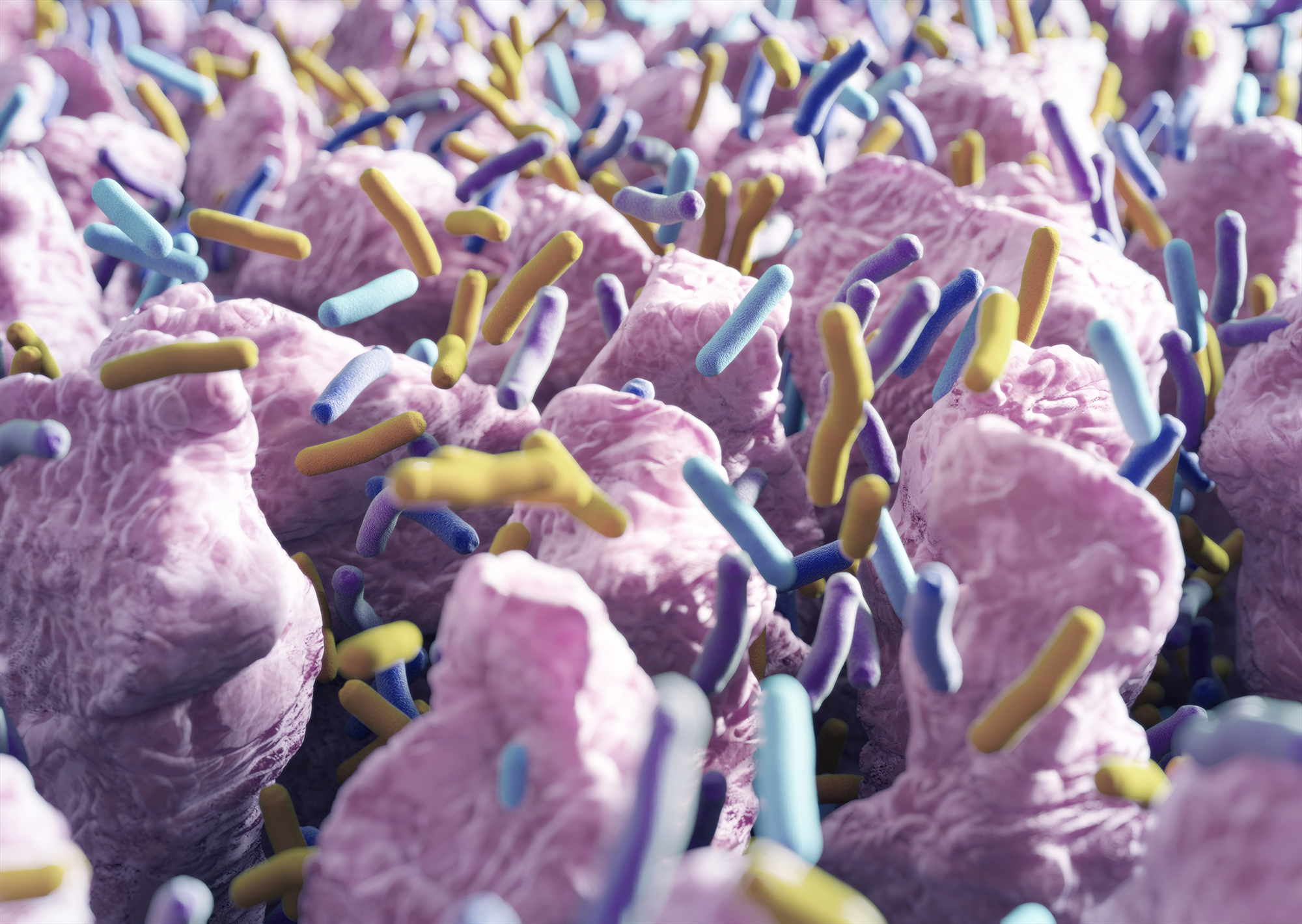 Artist rendering of intestinal villi (small finger-like projections) and gut bacteria.