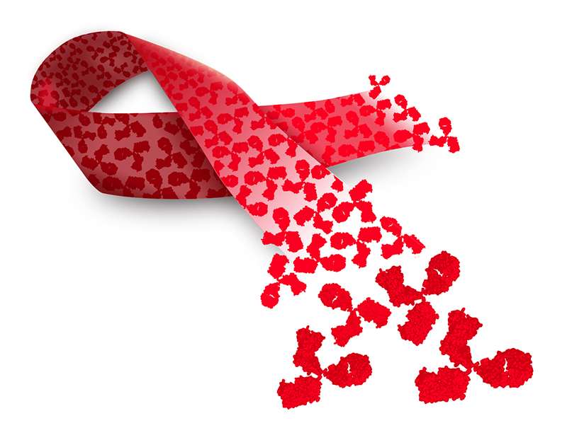 An AIDS ribbon depicted with broadly neutralizing antibodies.