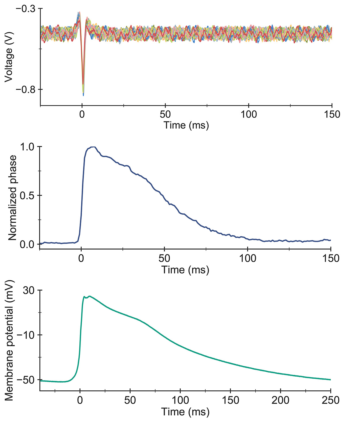 Graph showing optical imaging signals.