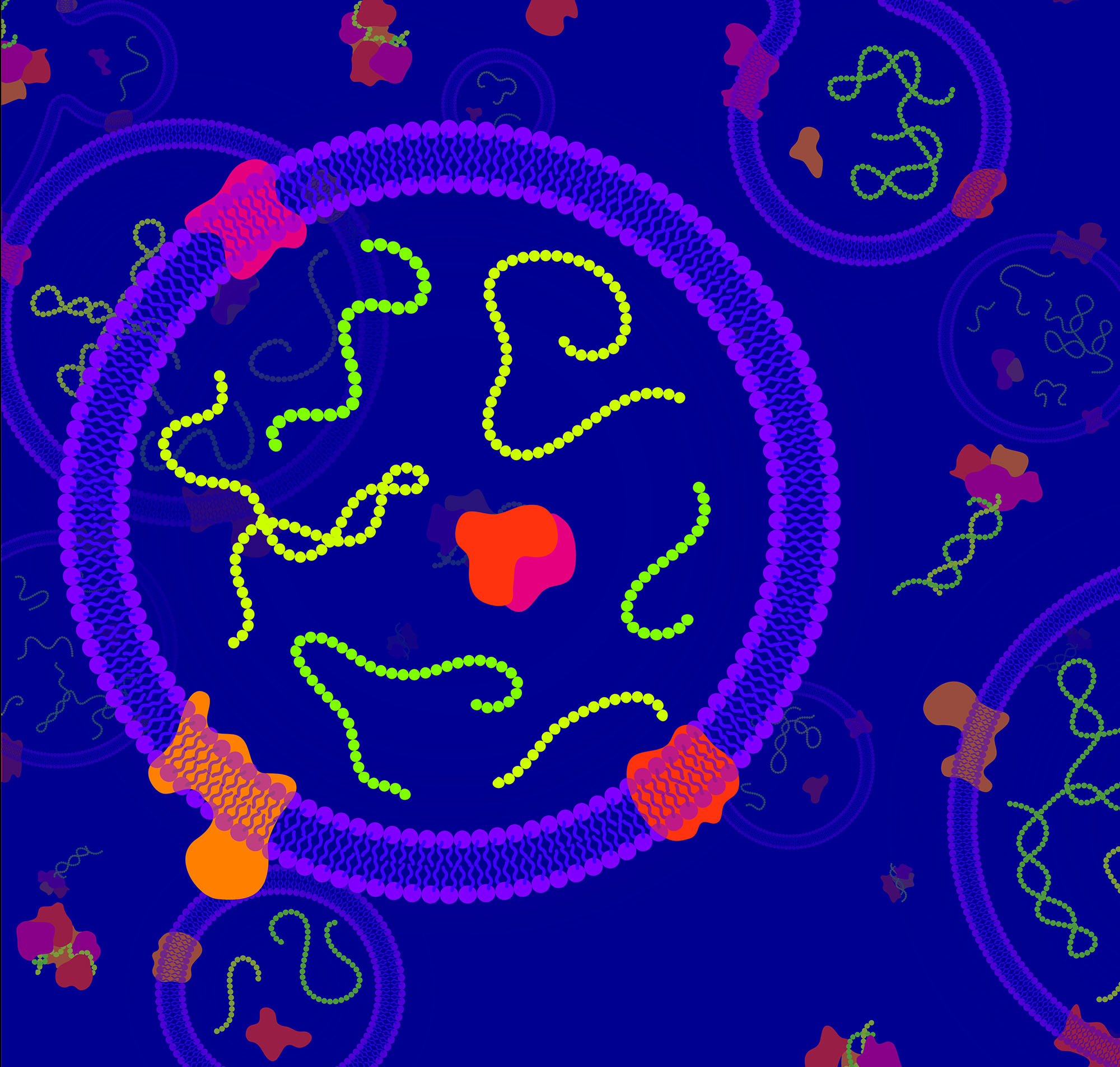 Illustration of extracellular RNA molecules