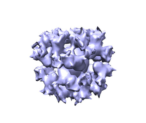 A cryo-EM image of the gH/gL/gp45 candidate vaccine construct