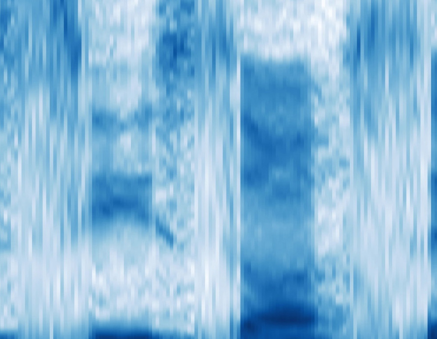 Image of brain-wave scan from the study