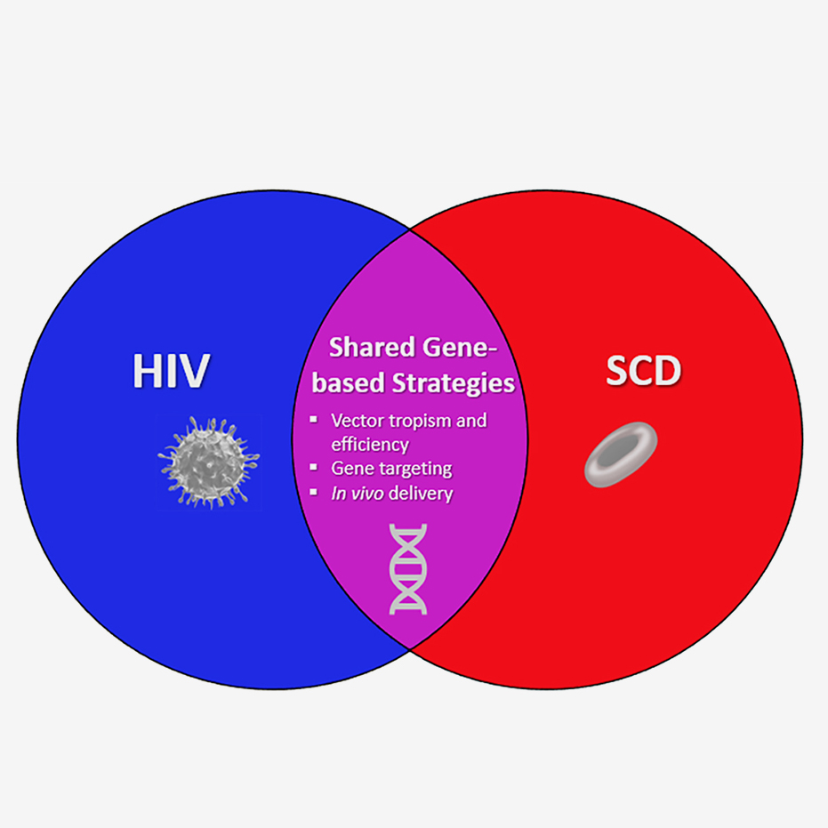 Overview of SCD and HIV Cures Collaboration thumbnail