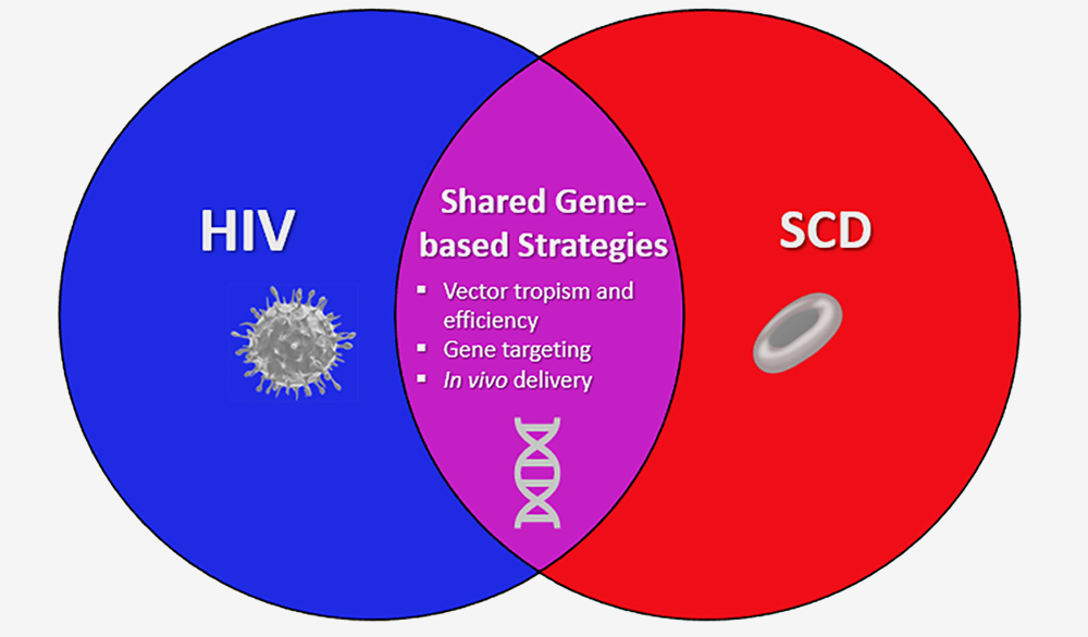 Overview of SCD and HIV Cures Collaboration 