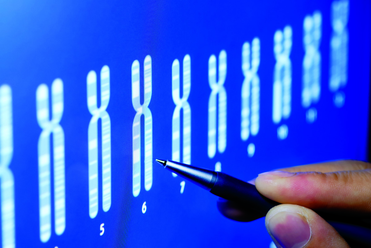Stock image of chromosomes.