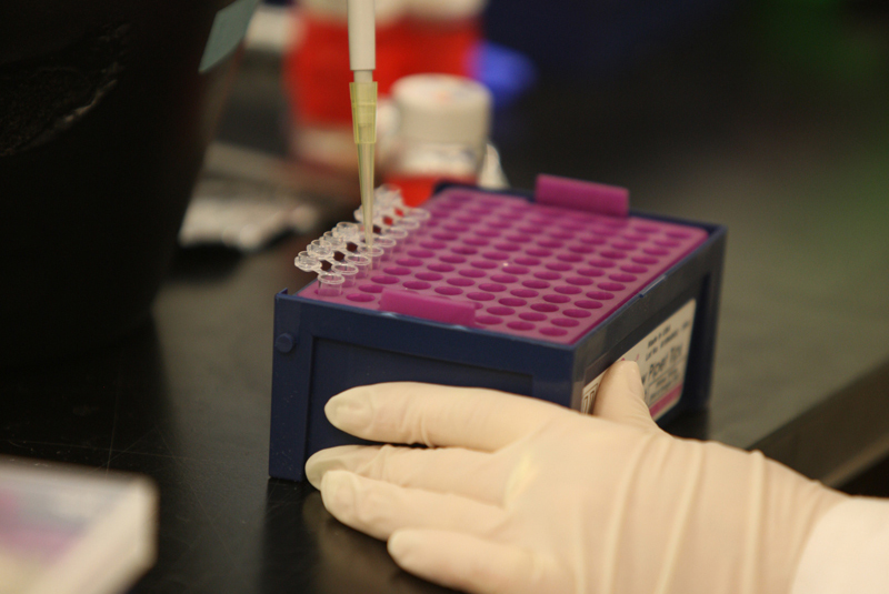 image of a researcher in a lab