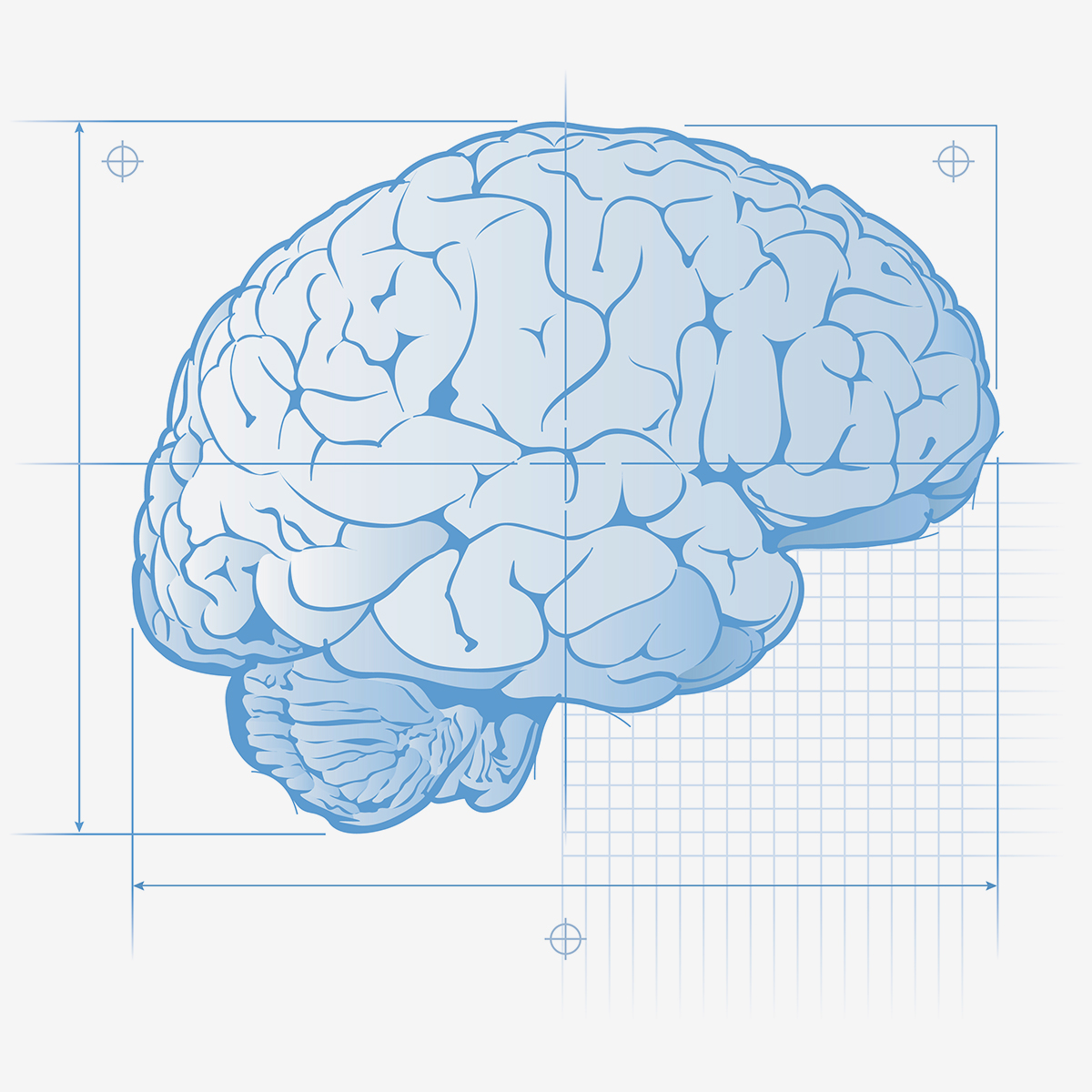 Brain only. Строение мозга на синем фоне. Синий чертеж мозг. Мозг анатомия вектор. 3d рисунок голубой мозг.