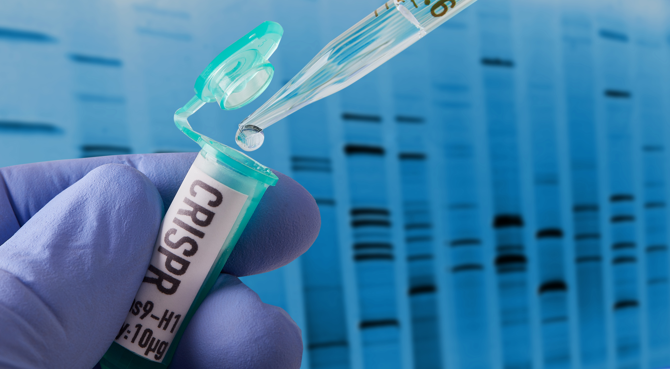 CRISPR research in laboratory - stock photo
