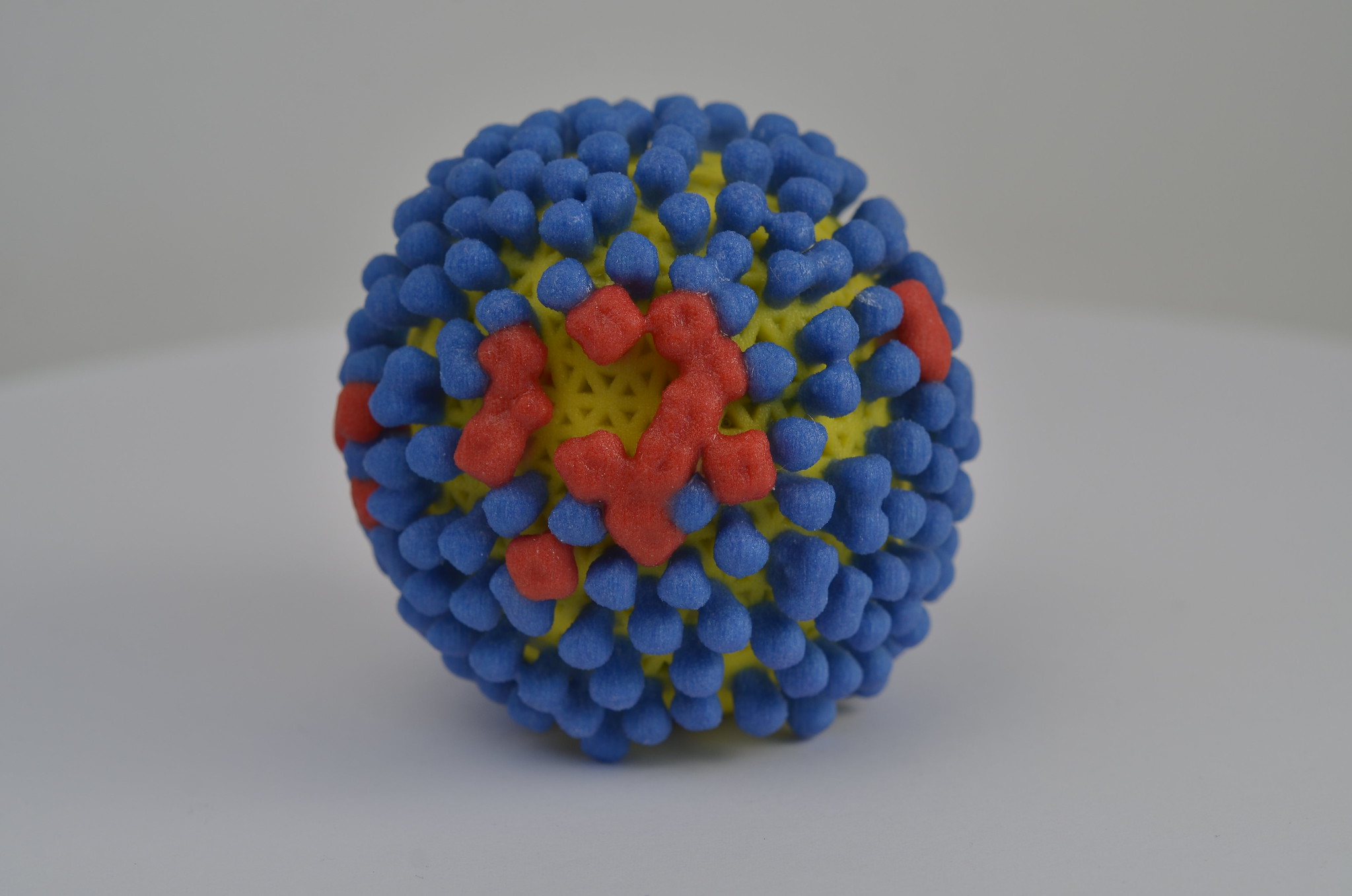 Influenza Virus