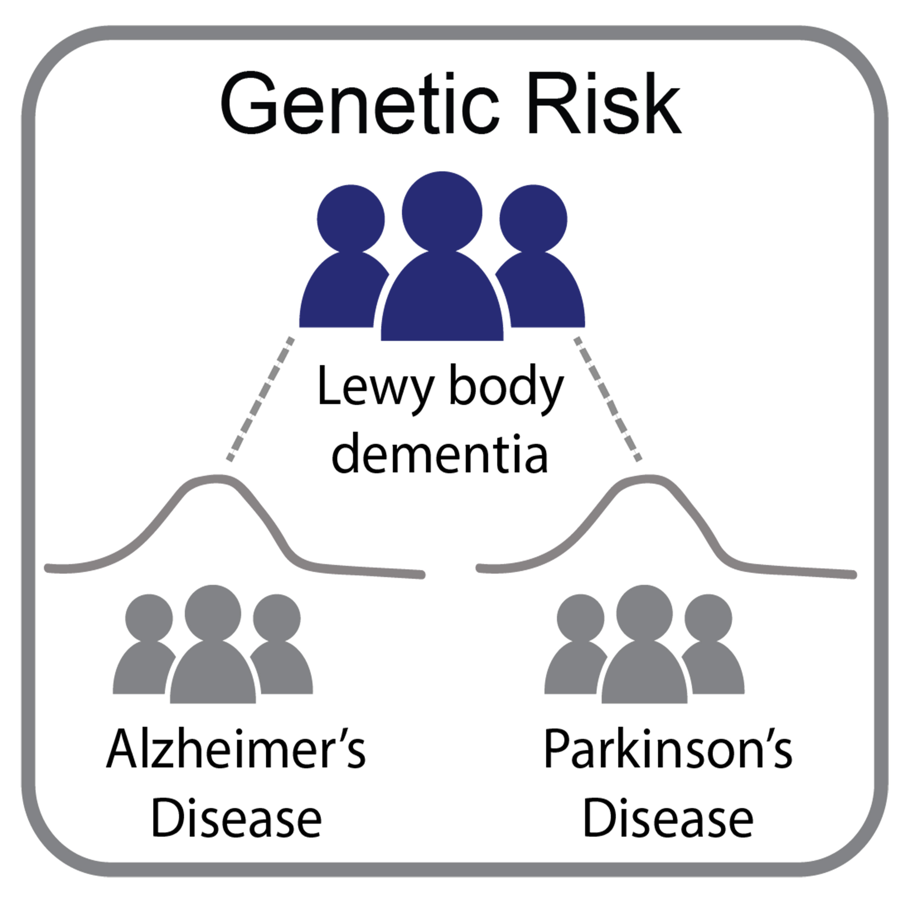 The genetic study of Lewy body dementia supports the links with Alzheimer’s and Parkinson’s diseases