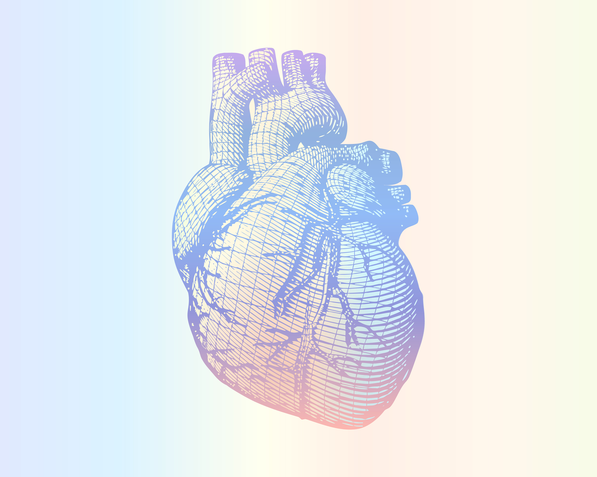 human heart wireframe on soft colorful gradient BG - stock vector