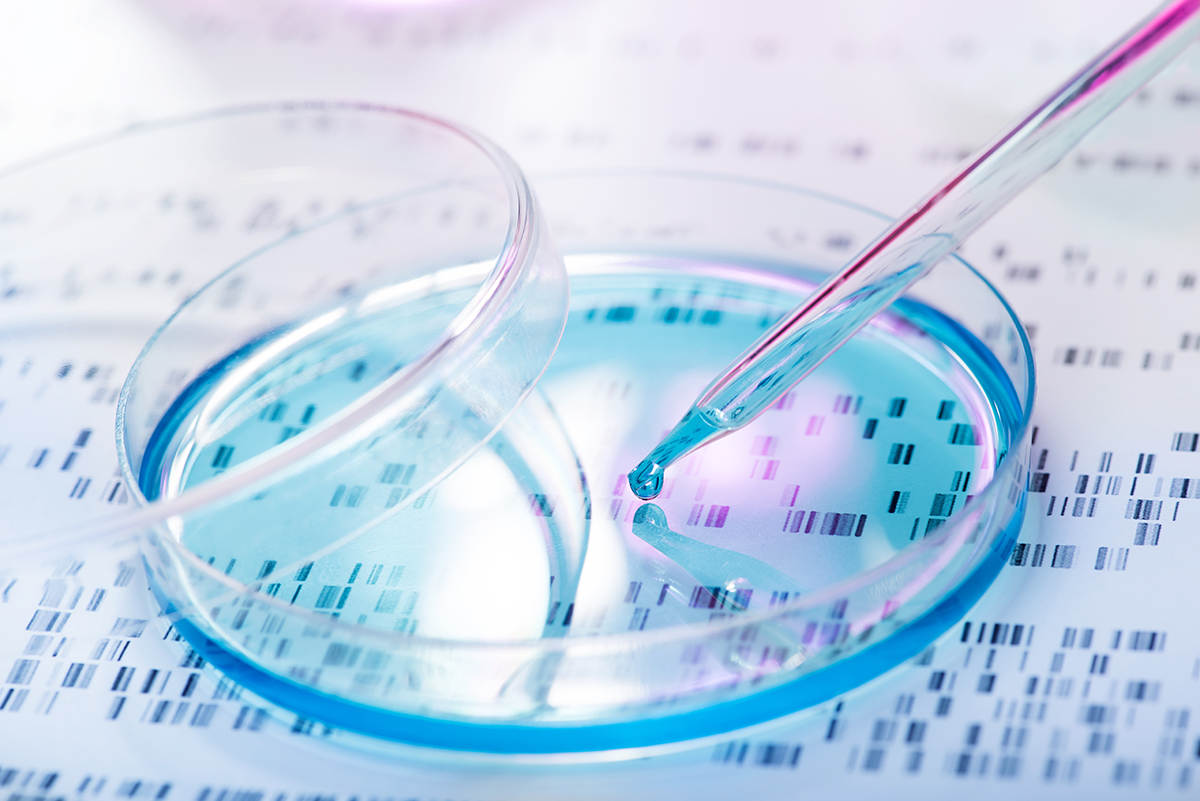 DNA sample being pipetted into petri dish with DNA gel in background