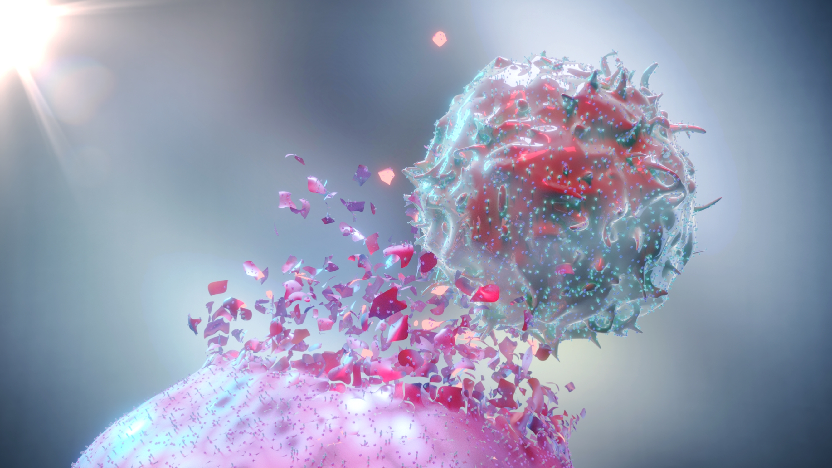 Natural Killer Cell (NK Cell) destroying a cancer cell - stock photo