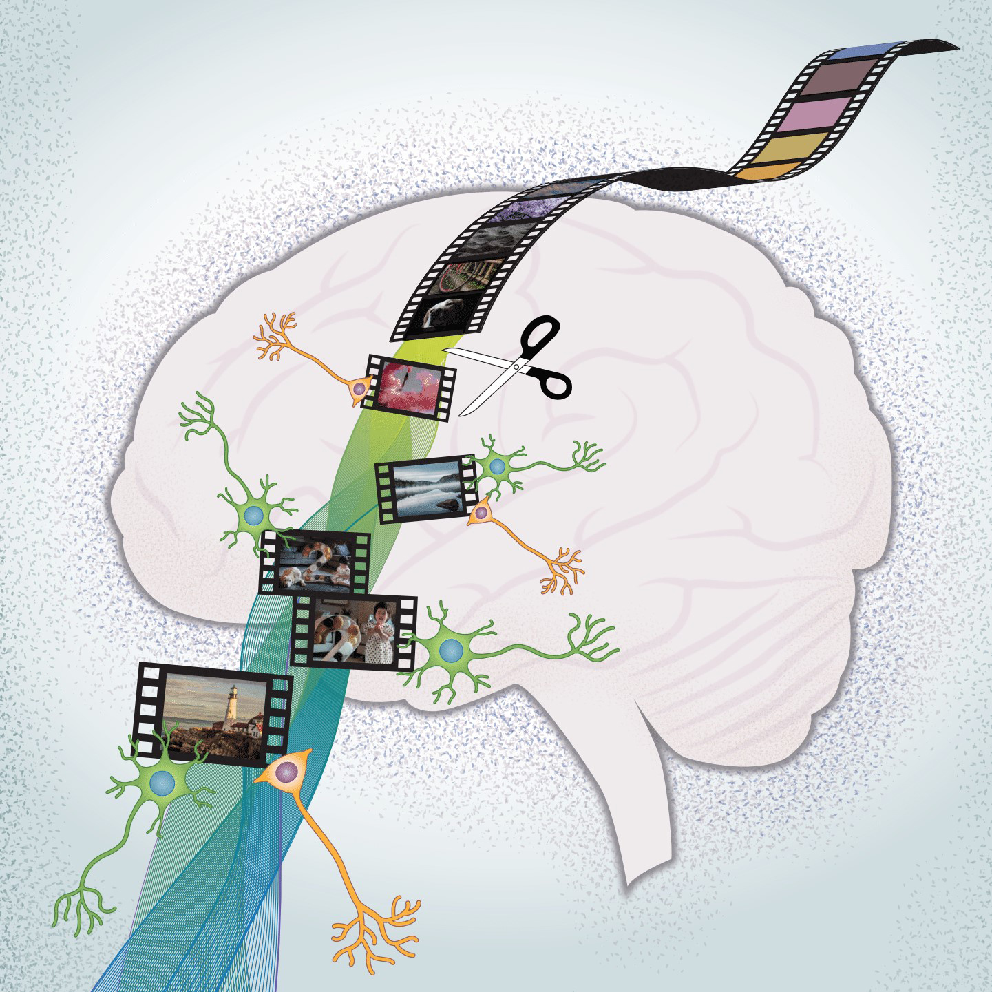 Scientists discover how our brains track where we and others go