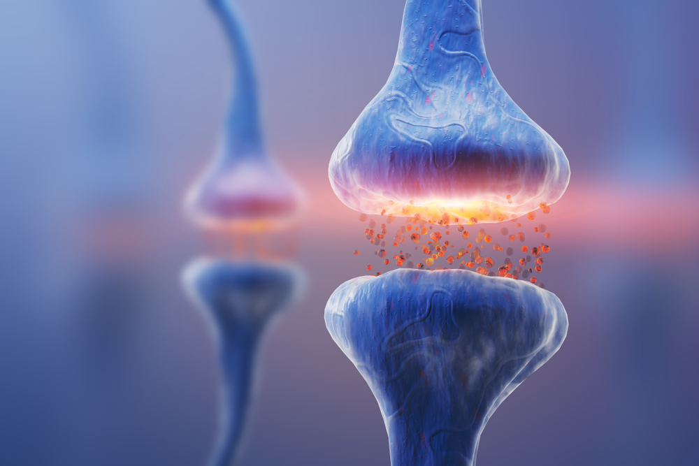 Potential treatment for sporadic ALS has been identified by researchers.