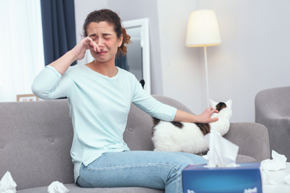 Young teary-eyed lady taking care of her cat suffering from first symptoms of feline fur allergy