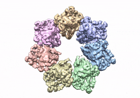 Rotating image of 3D twinkle protein structure