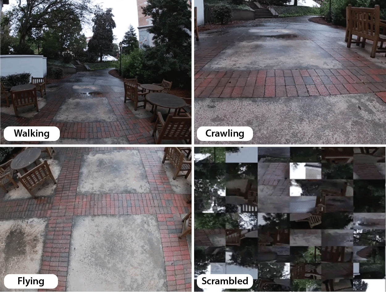 Image of different perspectives of a patio