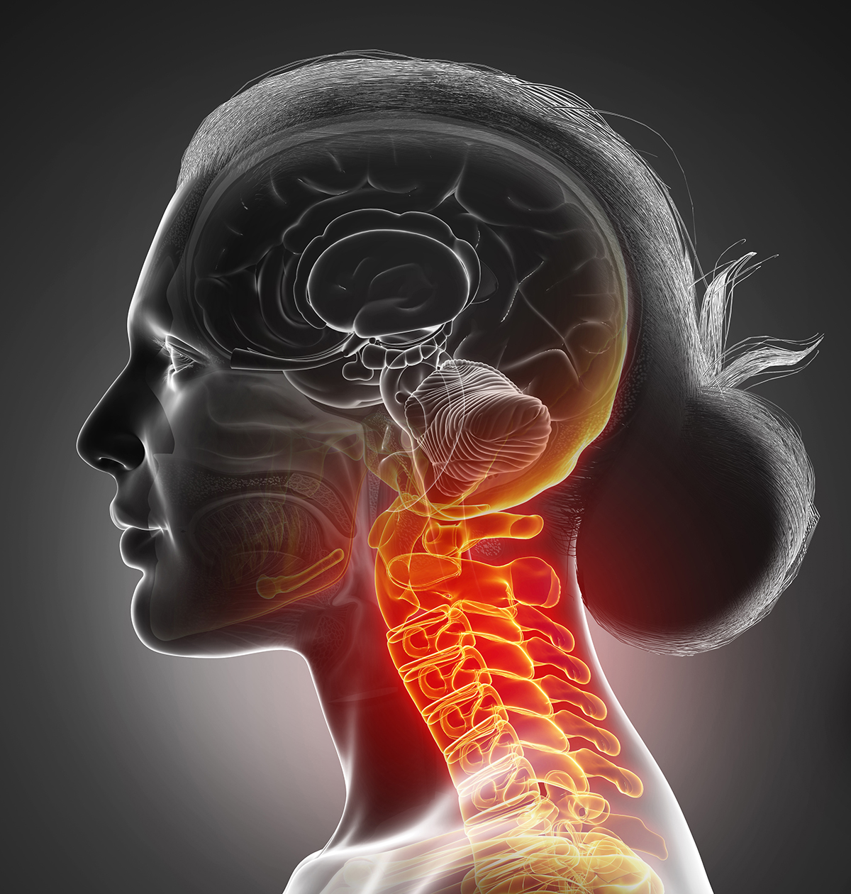 Transparent profile of a person, with the spinal cord glowing in red