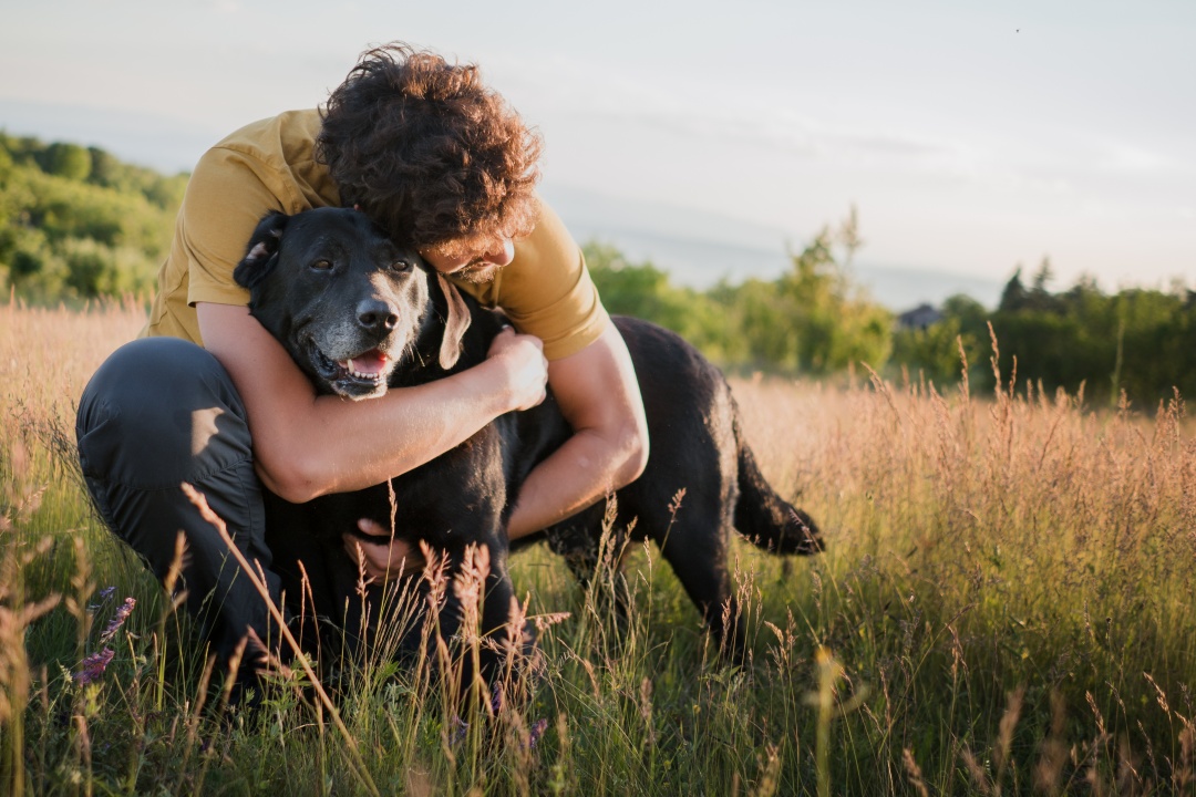 Image of a man in a grassy field hugging his dog