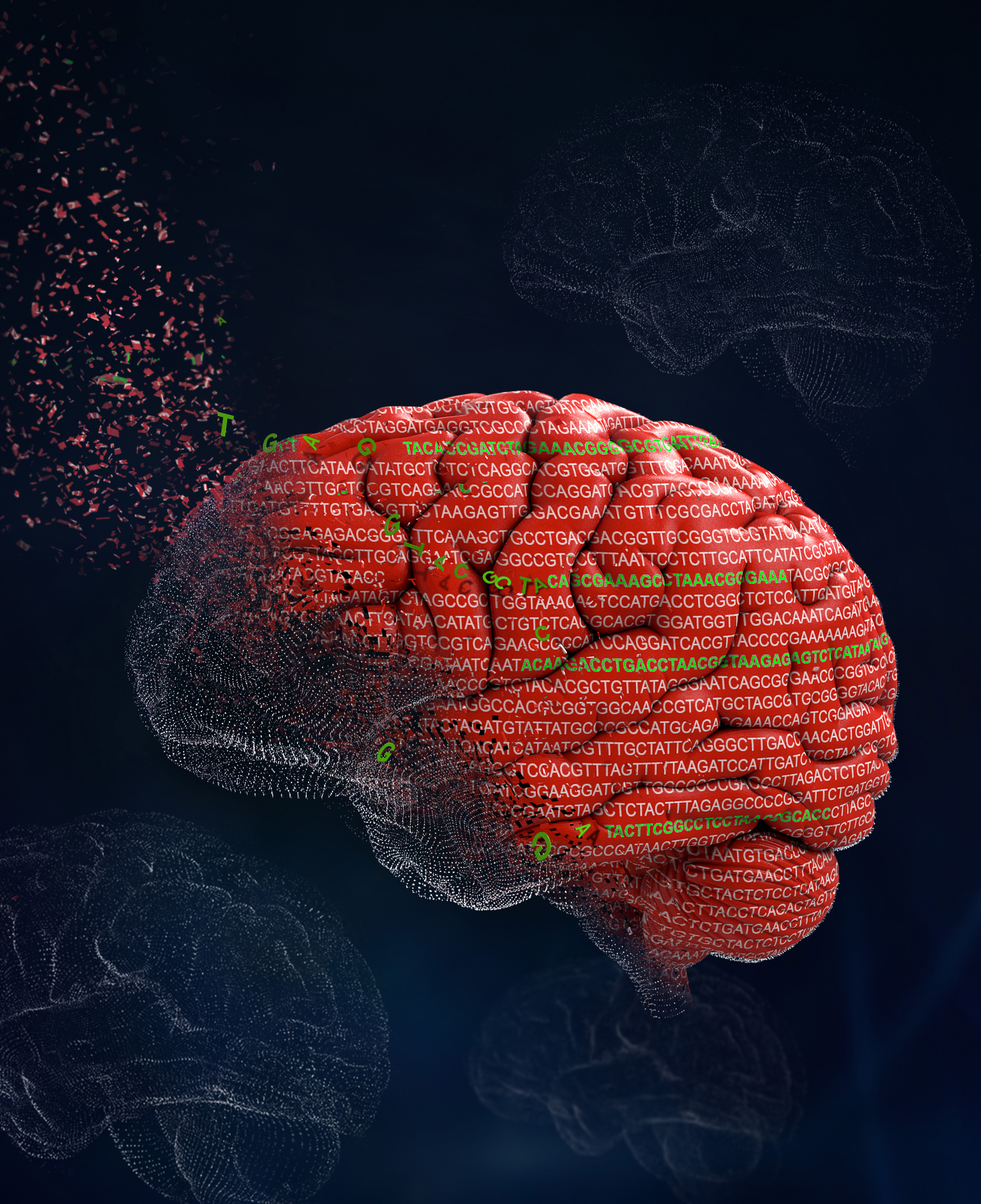 Illustration of a brain with genetic letters