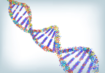 Illustration of DNA double helix