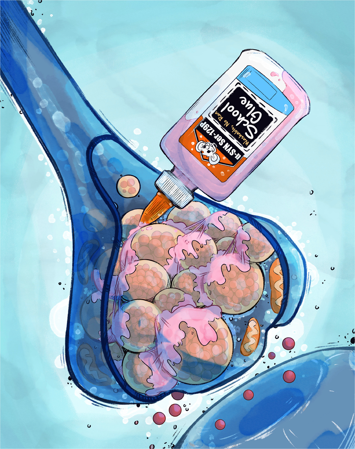 A common marker of neurological diseases may play role in healthy brains