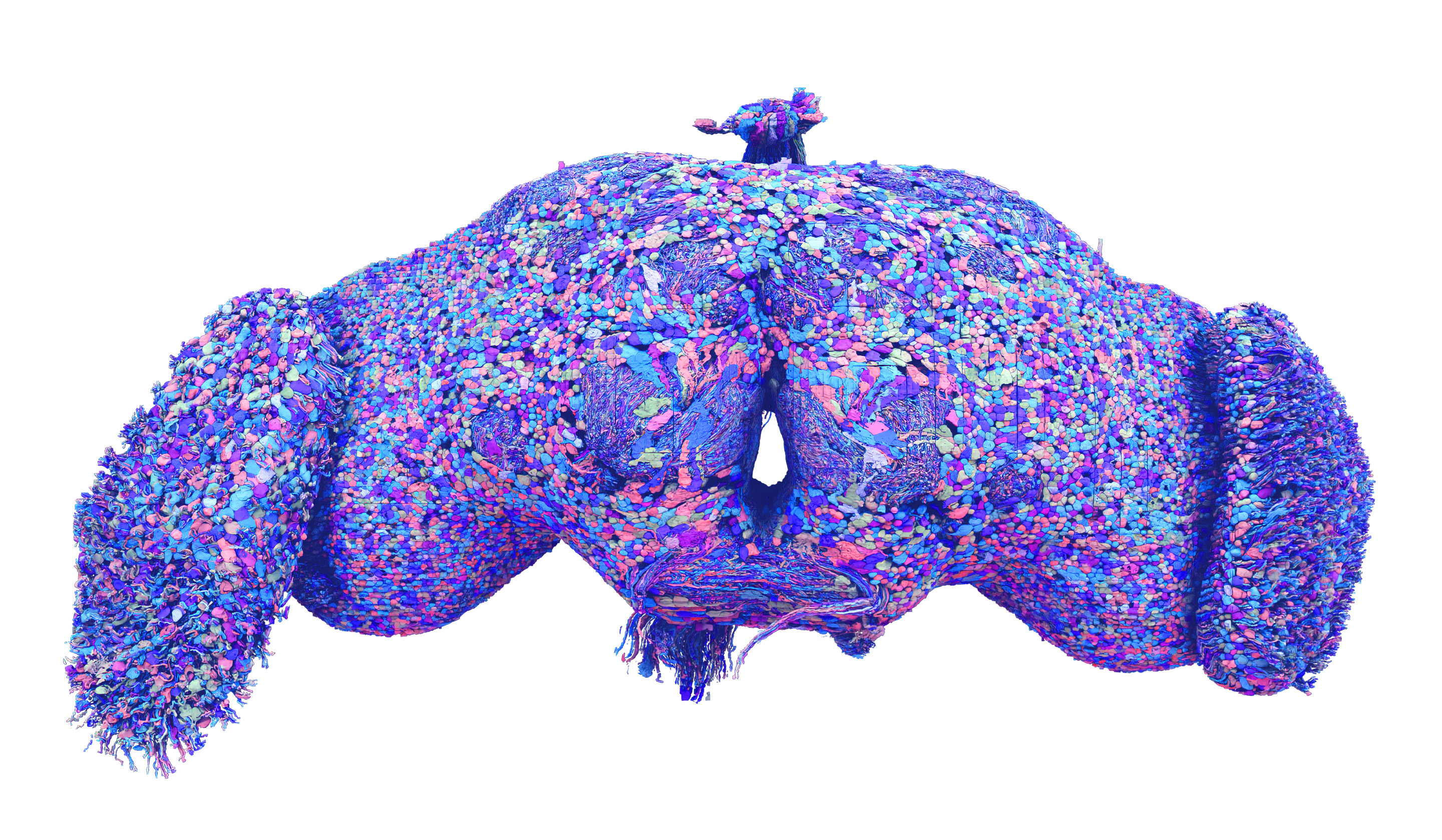 Researchers absolutely map neural connections of the fruit fly mind